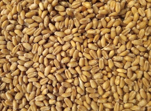 Agricultural commodities including grains, pulses and oilseeds